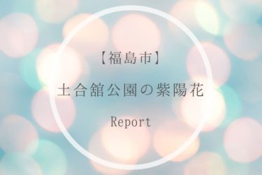 【福島市】土合舘公園の紫陽花はインスタ映え間違いなし！【あじさい公園】