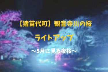 【写真付きで紹介】ライトアップされた観音寺川の桜がキレイ！駐車場はある？