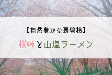 【3000本の大山桜】裏磐梯の桜峠が凄すぎた！道の駅情報も紹介！