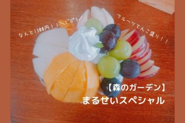 森のガーデンの「まるせいスペシャルてんこ盛りパフェ」が凄すぎた！