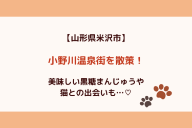【ほたるの里】山形県米沢市の小野川温泉を散策！駐車場情報も！