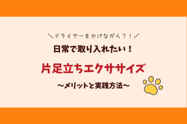 ながら運動でダイエット！片足立ちエクササイズで体幹を鍛える！