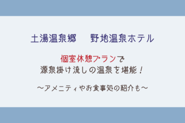 【土湯温泉郷】野地温泉ホテルの個室休憩プランでまったり日帰り入浴！