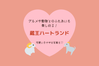 お子様連れにもオススメ！蔵王ハートランドのグルメやふれあいコーナーレポ