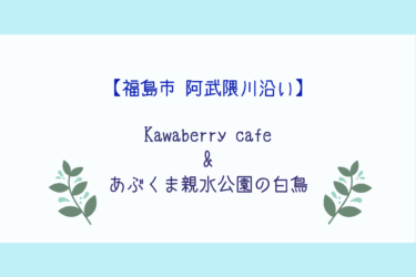 【Kawaberry cafe】阿武隈川沿いのおしゃれなカフェと白鳥観察【あぶくま親水公園】