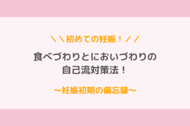 初マタ 食べづわり においづわりと戦った妊婦のつわり対策法 妊娠初期の備忘録 歩いてローカル