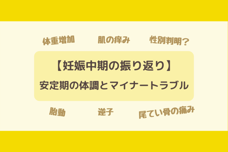 妊娠中期の振り返り 安定期の体調の変化とマイナートラブル 歩いてローカル 妊娠中期の振り返り 安定期の体調の変化とマイナートラブル 歩いてローカル