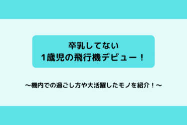 卒乳してない1歳児の飛行機デビューレポ！機内で授乳する方法は？！