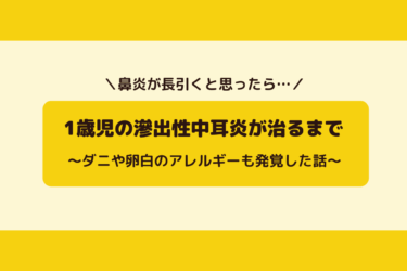 1歳児の滲出性中耳炎が治るまで〜検査でダニや卵白のアレルギーも発覚した話〜
