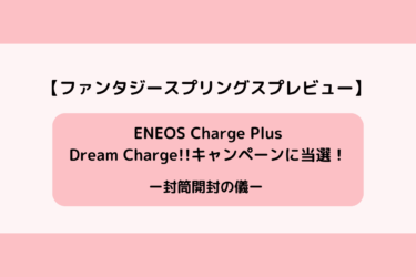 ファンタジースプリングスプレビューのブログ